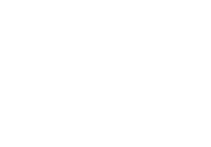 HIK VISION