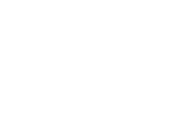 REPUBLIC OF GAMERS